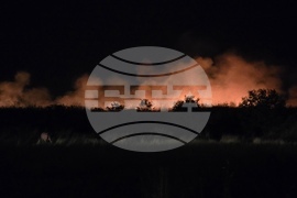 Квартал „Димитър Миленков“ - сухи треви - пожар