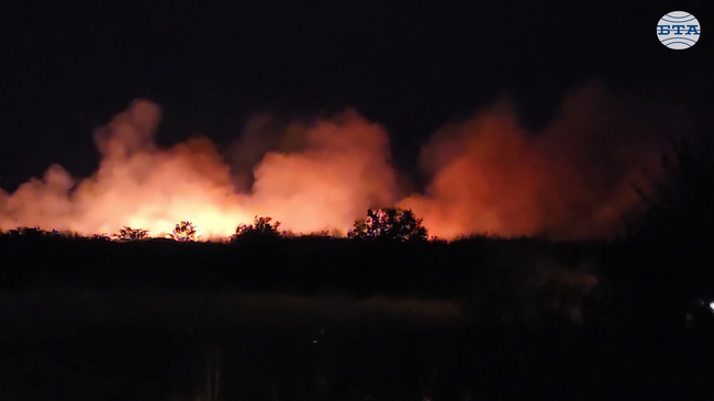 Сухи треви горят в квартал „Димитър Миленков“ в София, няма пострадали хора и опасност за обекти