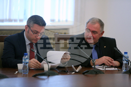 Парламент -  Комисия по външна политика