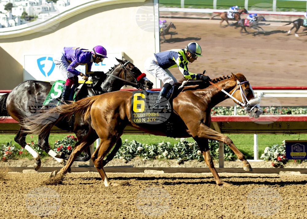 Del Mar Horse Racing