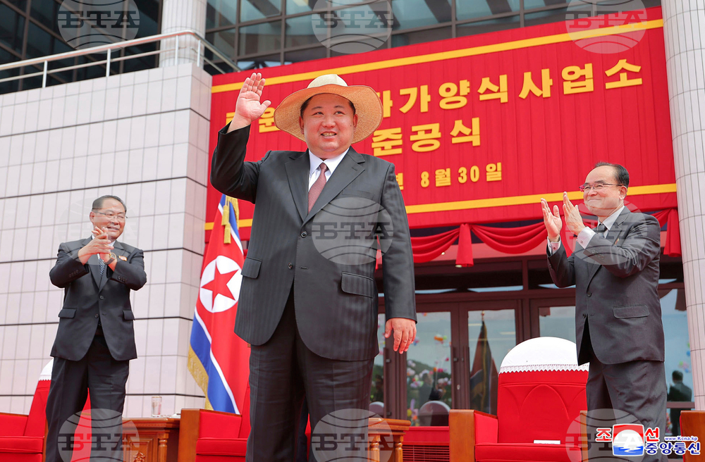 North Korea Kim