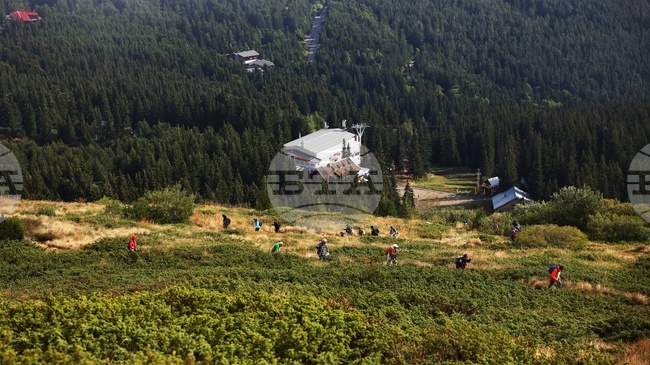 Камера около хижа "Алеко" е засякла издирваната на Витоша 20-годишна жена, съобщиха от Планинската спасителна служба на БЧК