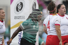 RWC Ireland Spain Rugby