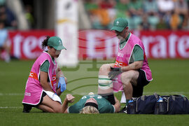 RWC Ireland Spain Rugby