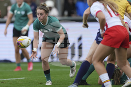 RWC Ireland Spain Rugby