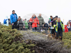 Снимка: Президентство