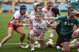 RWC Ireland Spain Rugby