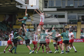 RWC Ireland Spain Rugby