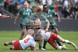 RWC Ireland Spain Rugby