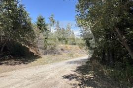 Местност Черната скала - туризъм