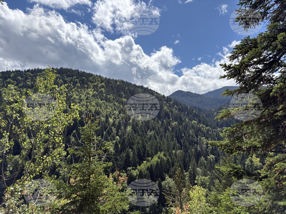 Добри са условията за туризъм в планините, съобщиха от Планинската спасителна служба на БЧК