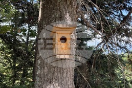 Местност Черната скала - туризъм