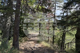 Местност Черната скала - туризъм