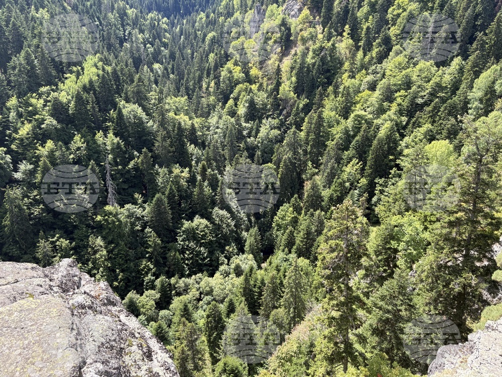 Хладно и мъгливо е тази сутрин в планините, съобщиха от ПСС