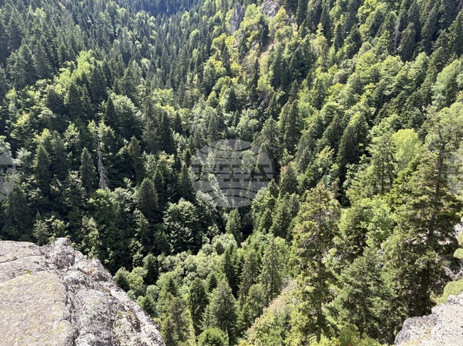 Хладно и мъгливо е тази сутрин в планините, съобщиха от ПСС