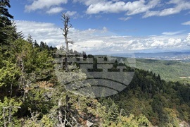 Местност Черната скала - туризъм