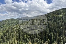 Местност Черната скала - туризъм