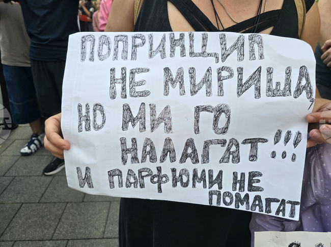 Плевен - безводие - протест