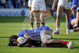 RWC France Brazil Rugby