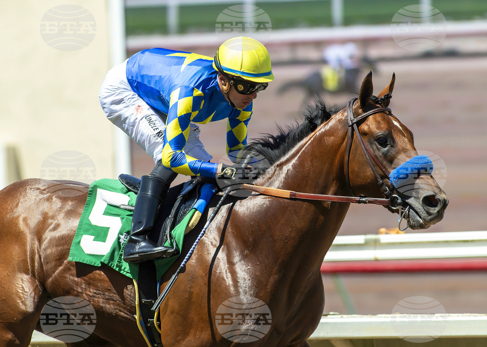 Del Mar Horse Racing
