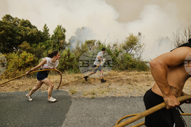 AP Top Photos of August 2025