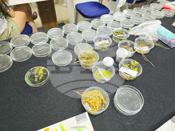 Панагюрище - академия за деца