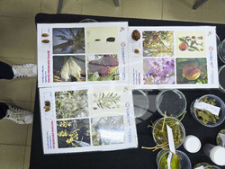 Панагюрище - академия за деца