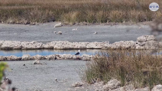 Всяко посещение за нас е важно, защото подпомага дейността на Природозащитен център "Пода", каза за БТА орнитологът Радослав Молдовански