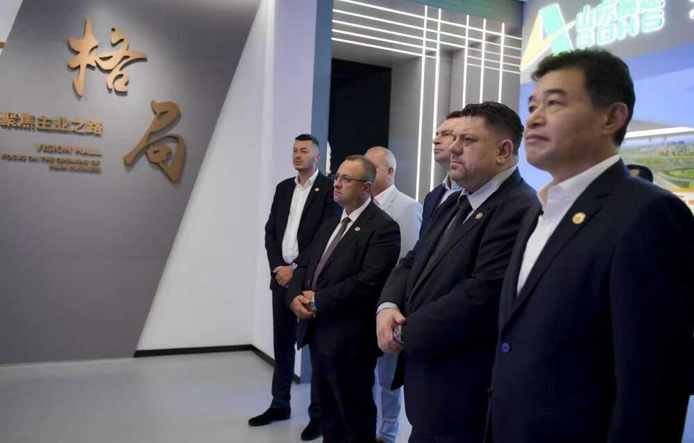 PM Distances Himself and Government from Chinese Visit of Deputy PM and One Minister