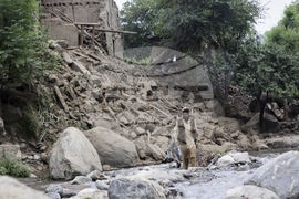 Afghanistan Earthquake