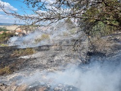 Белослав - пожар