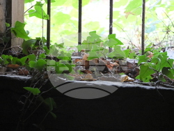 Музикантът Мирян Колев представя „Призрачни села“ в „Топлоцентрала“, снимка – екип Мирян Колев