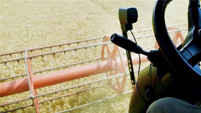 ХИНА: Реколтата от пшеницата в Хърватия е с 9,2% по-голяма спрямо миналата година