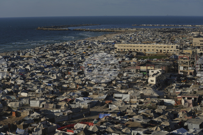 Най-малко 41 палестинци бяха убити и 184 бяха ранени през последното денонощие при израелски удари в ивицата Газа, съобщиха местни медици