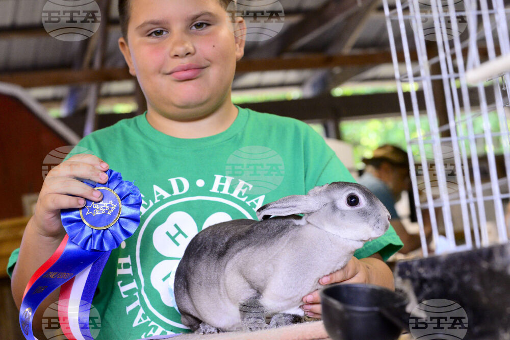 Vermont Labor Day Fair