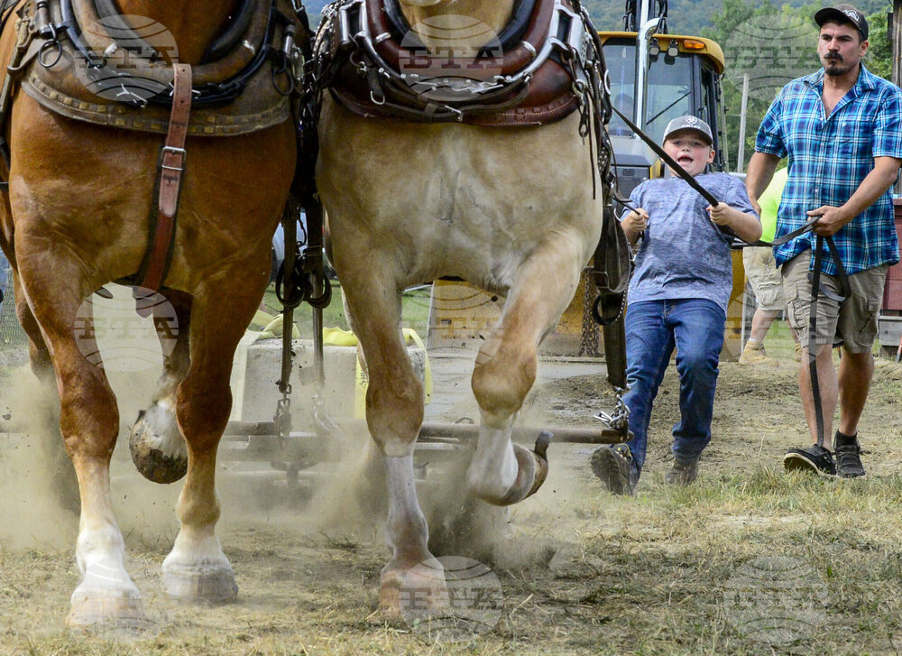 Vermont Labor Day Fair