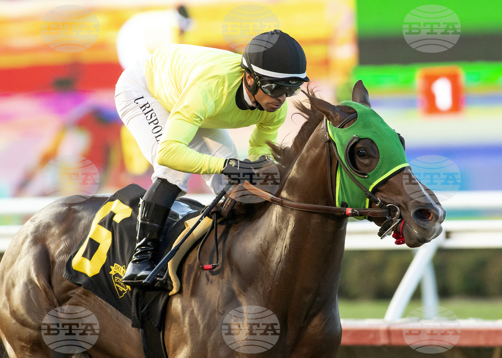 Del Mar Horse Racing