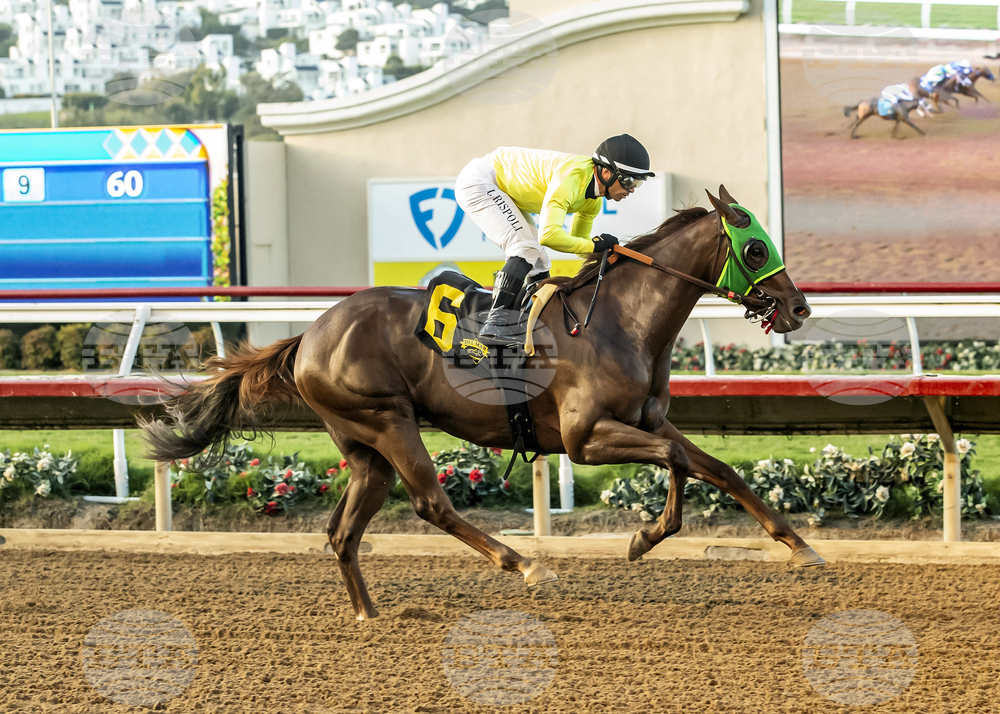 Del Mar Horse Racing