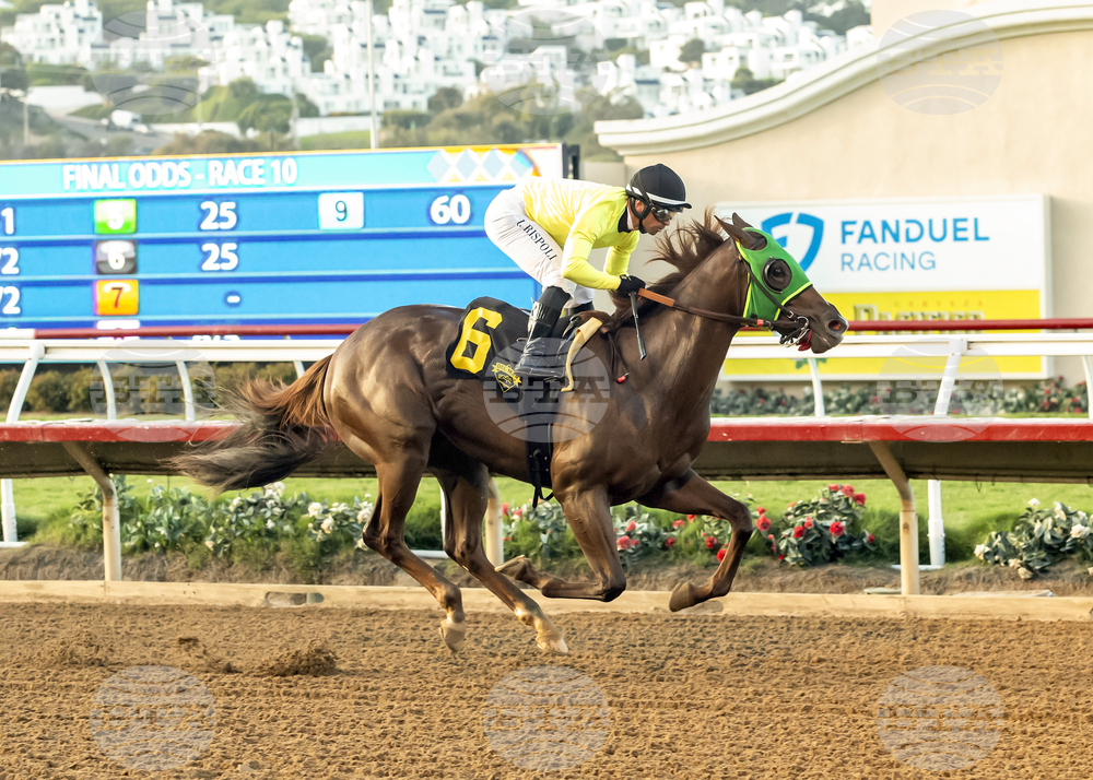 Del Mar Horse Racing