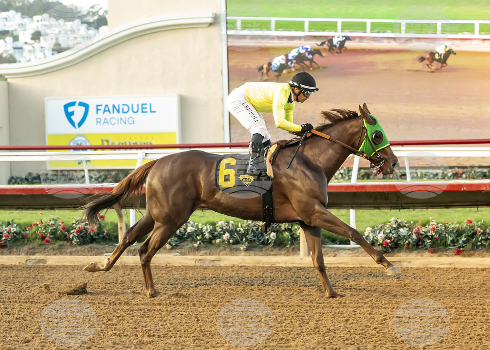 Del Mar Horse Racing