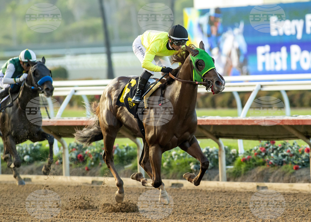 Del Mar Horse Racing