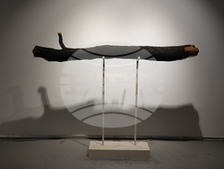 Магистърска програма „Дигитални изкуства“ на НХА с ярко участие във фестивала Ars Electronica 2025. Снимка: НХА