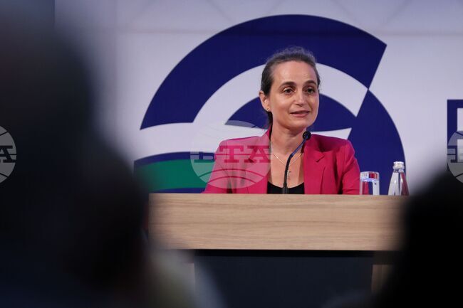 Euro Shields Against Economic Turmoil, Says Head of EC Representation in Bulgaria