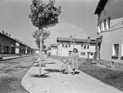 Dimitrovgrad - Establishment - September 2, 1947 - On this day