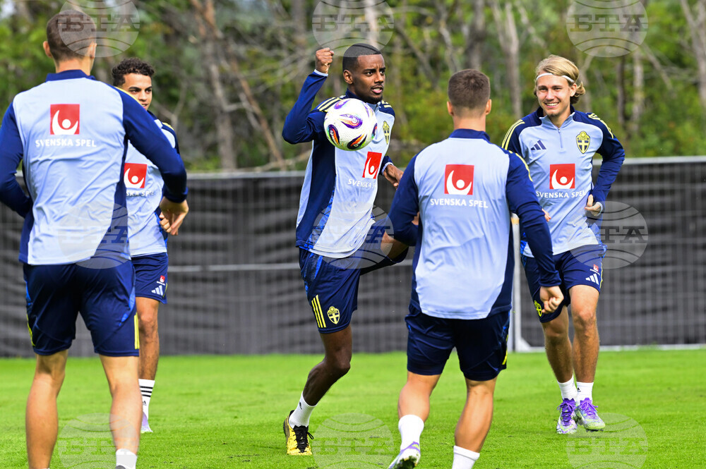 Sweden Slovenia WCup Soccer