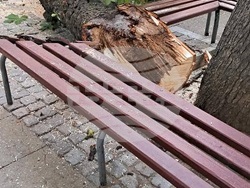 Благоевград - премахване - 