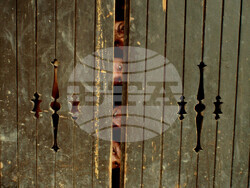 Mono and the Stereos представя дебютен сингъл Yellow Dusty Road, снимка – Mono and the Stereos