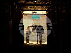 Mono and the Stereos представя дебютен сингъл Yellow Dusty Road, снимка – Mono and the Stereos