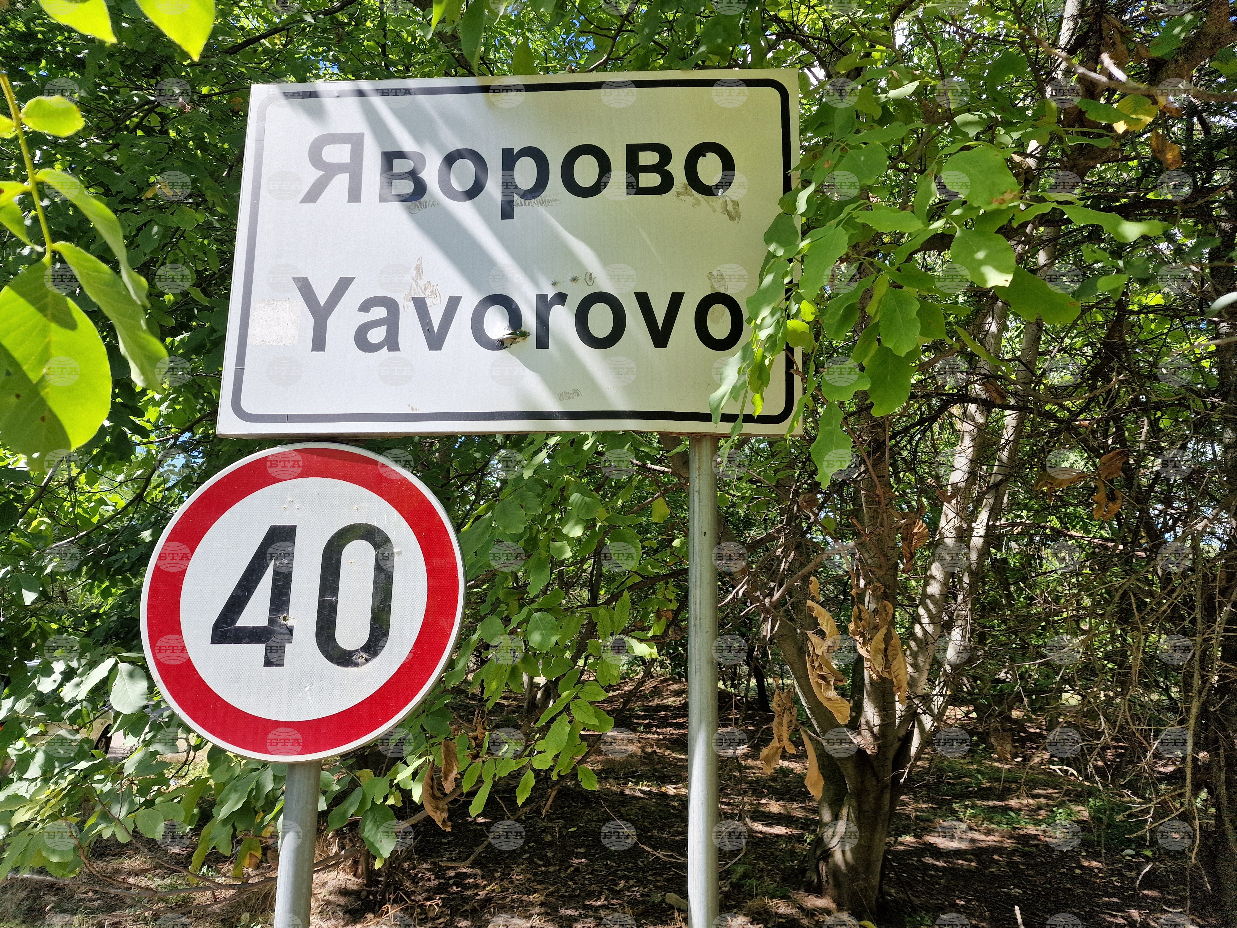 Близо триста жители на старозагорското село Яворово ще гласуват за кмет на кметство тази неделя