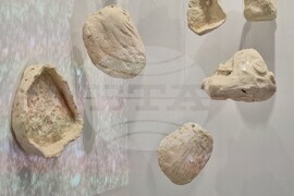 Варна - форум „Буна“ - изложба „Заземяване“